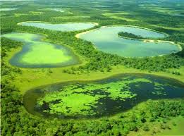 brasiilia loodus - pantanal maastik